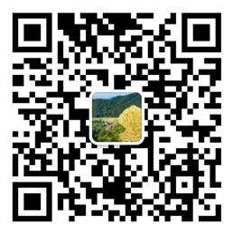 网易彩票官网